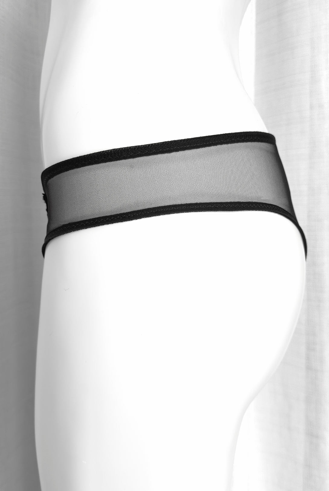 Brasiliana Aster Noir | Dot76.it