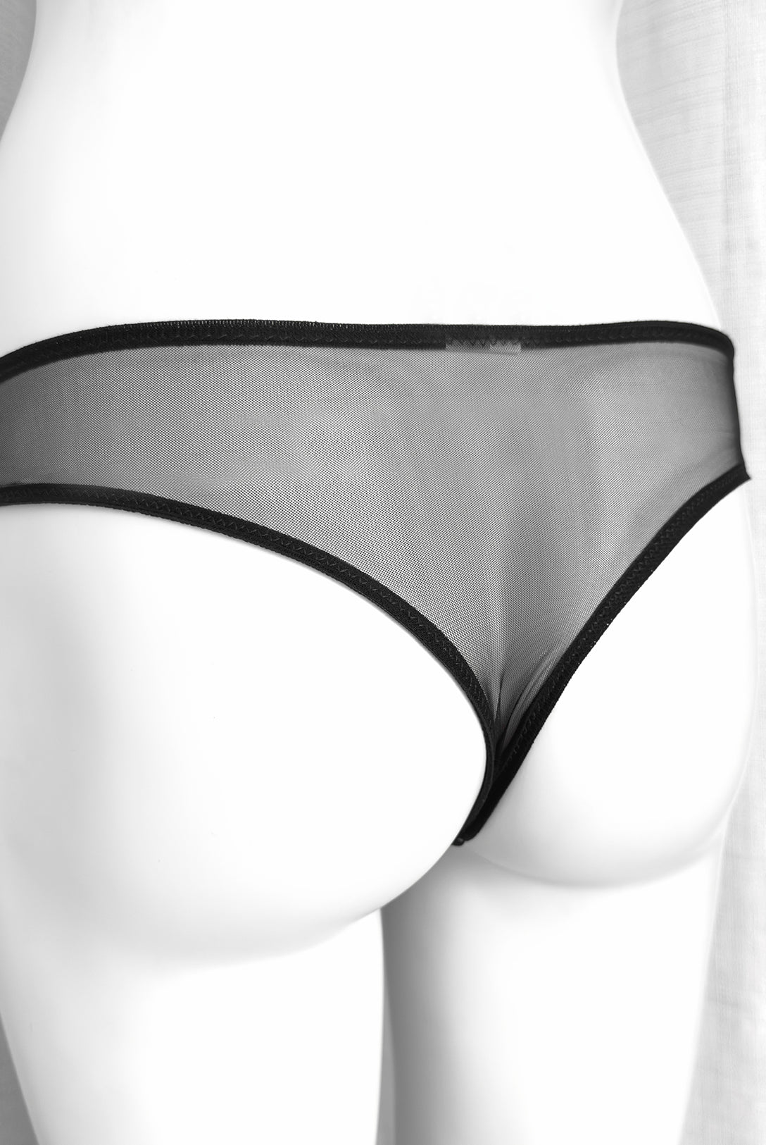 Brasiliana Aster Noir | Dot76.it