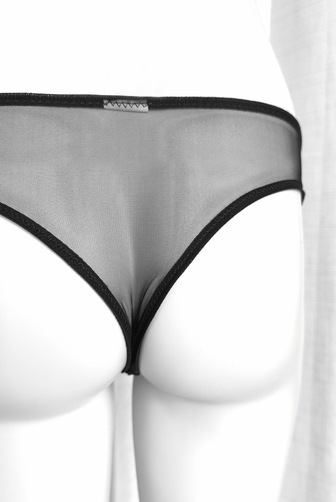 Brasiliana Aster Noir | Dot76.it