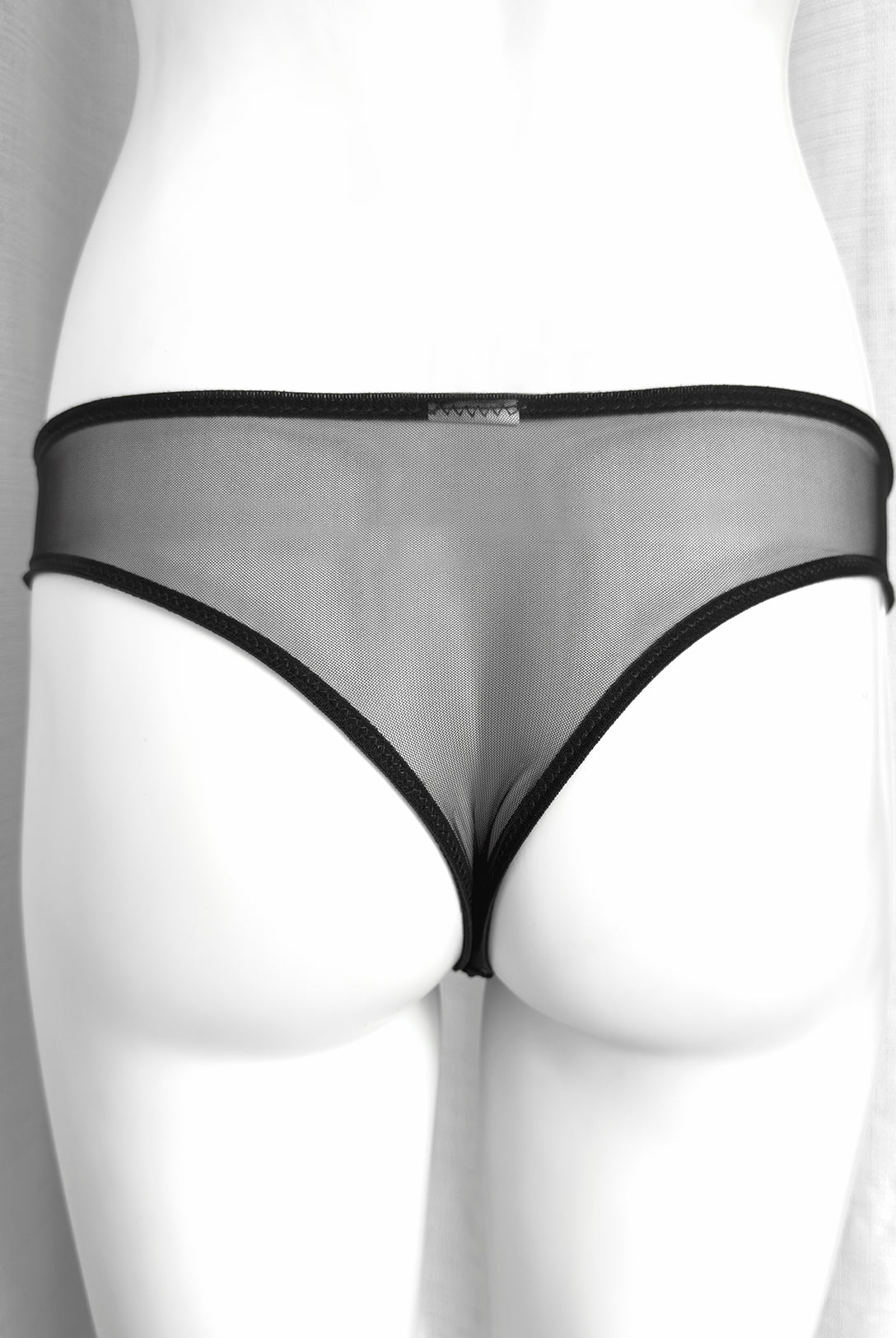 Brasiliana Aster Noir | Dot76.it
