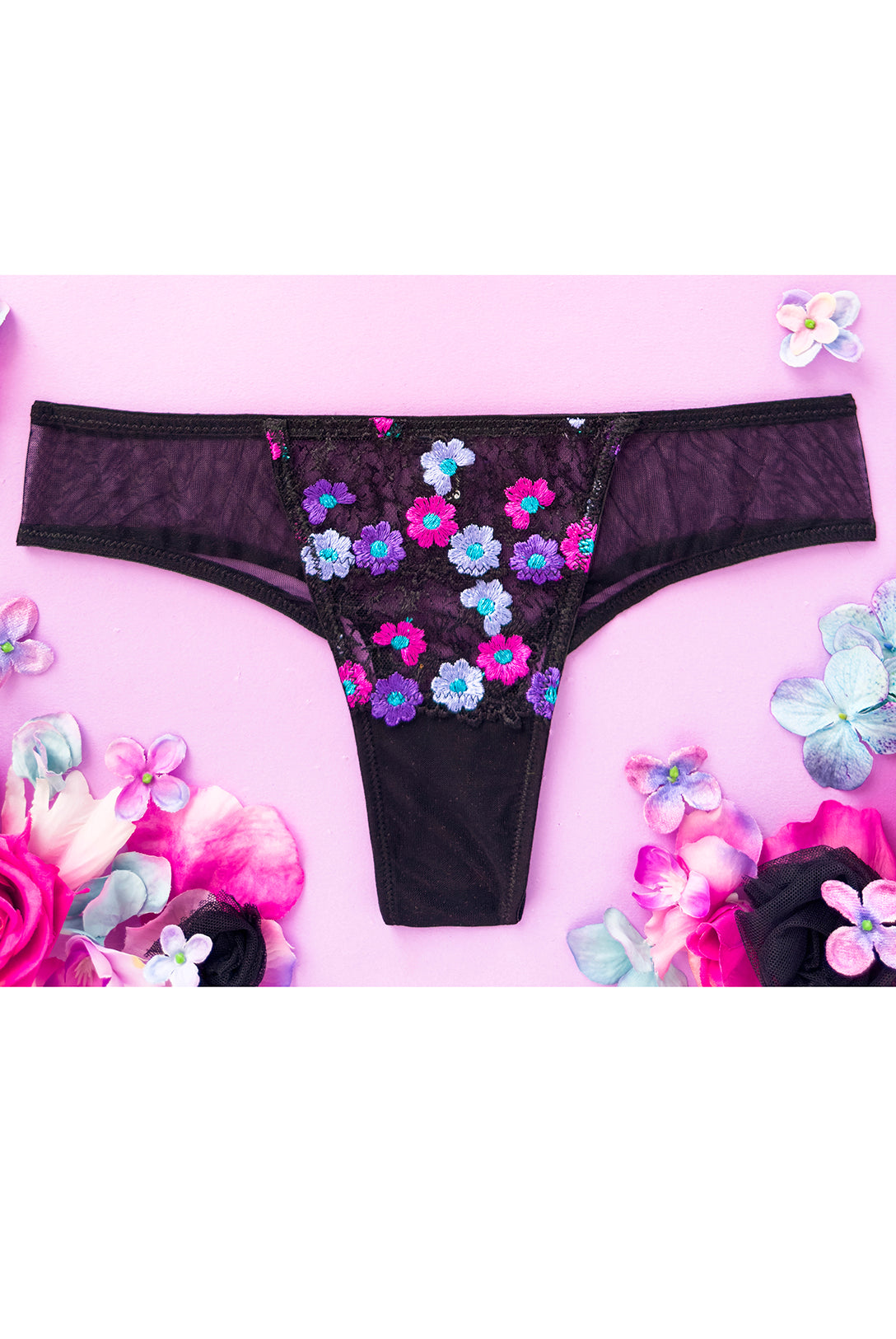 Brasiliana Aster Noir | Dot76.it