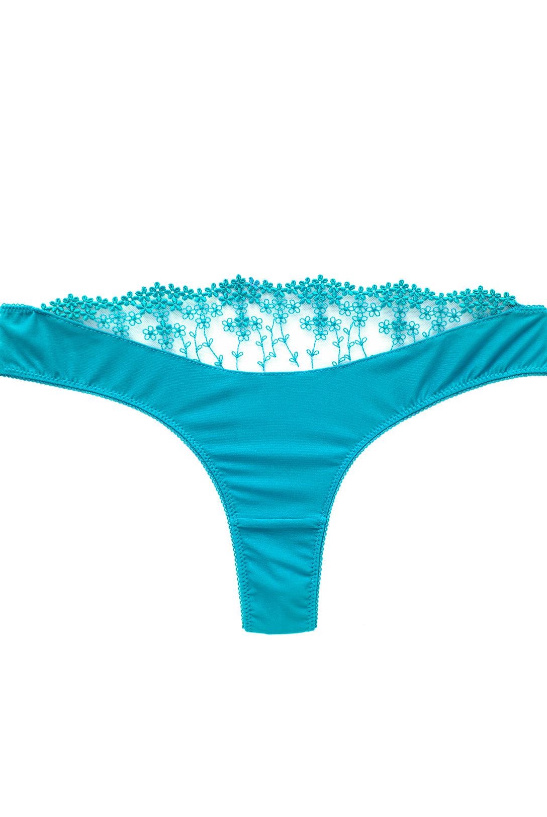 Brasiliana Iberis Caraibi | Dot76.it