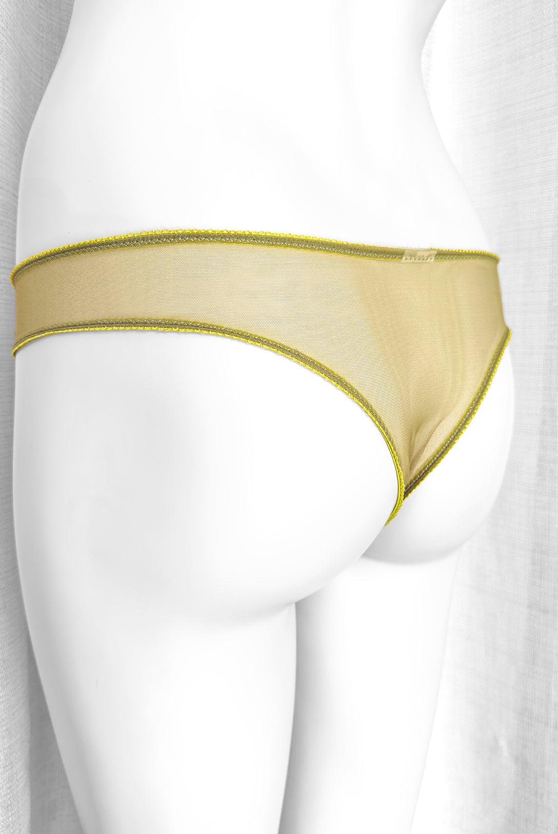 Brasiliana Kalmia | Dot76.it