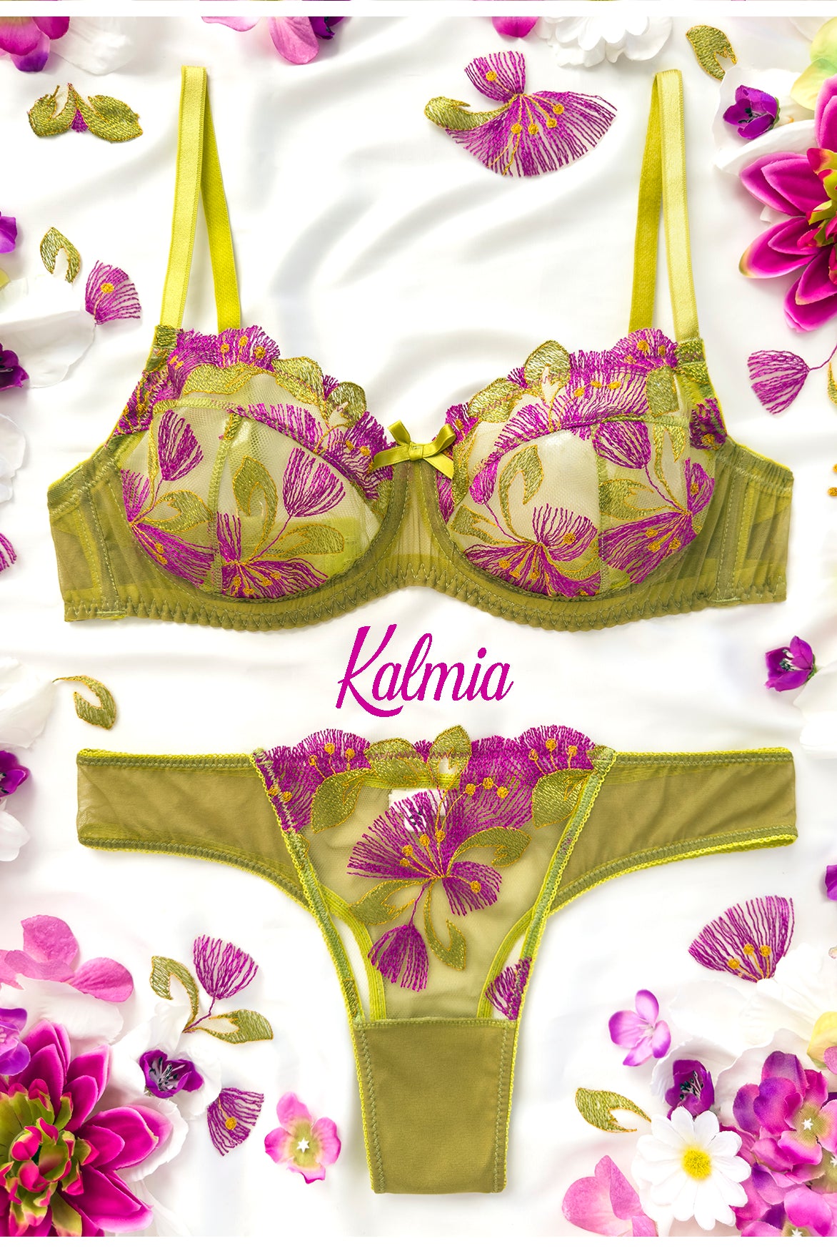 Brasiliana Kalmia | Dot76.it