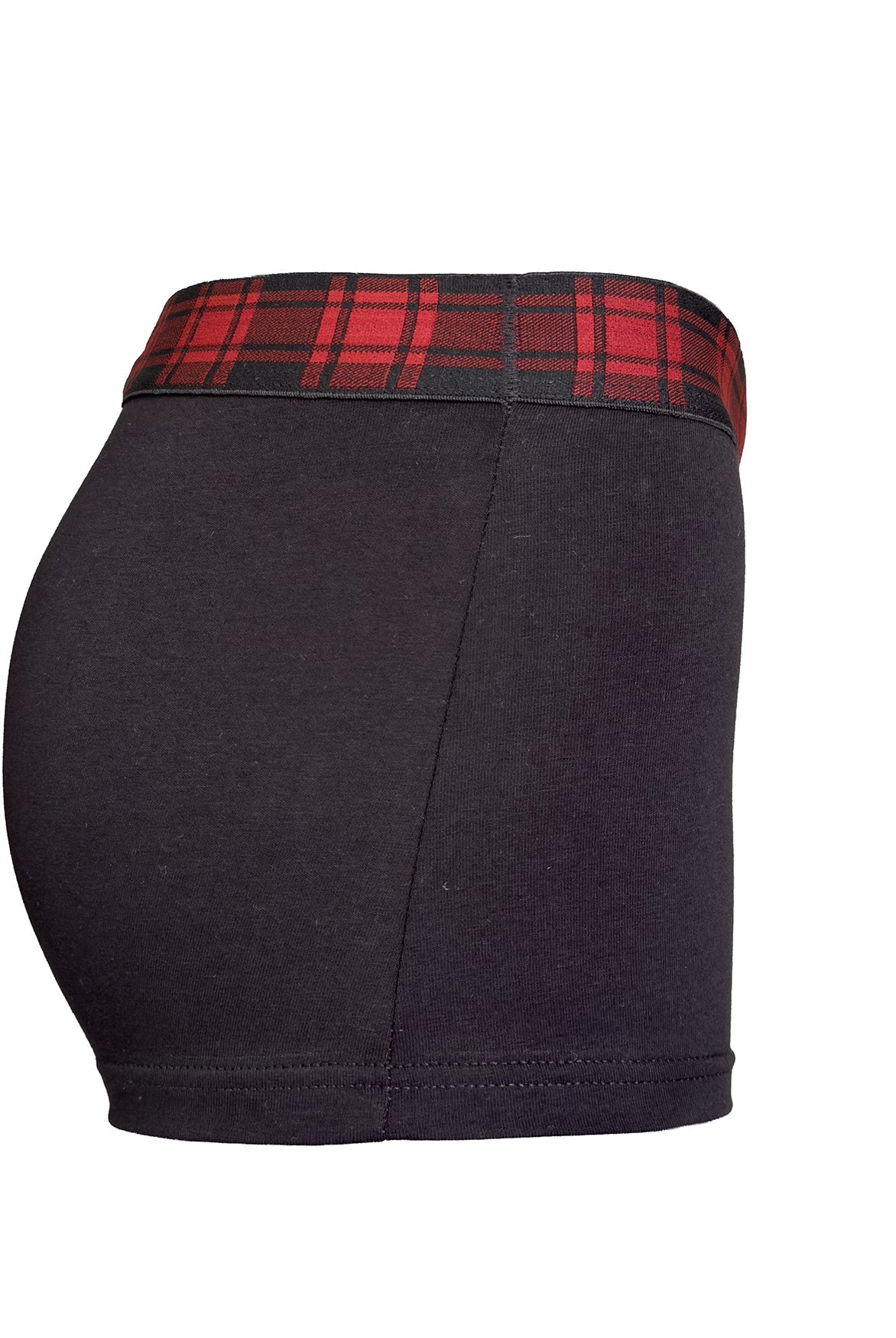 Boxer Scottish | Dot76.it