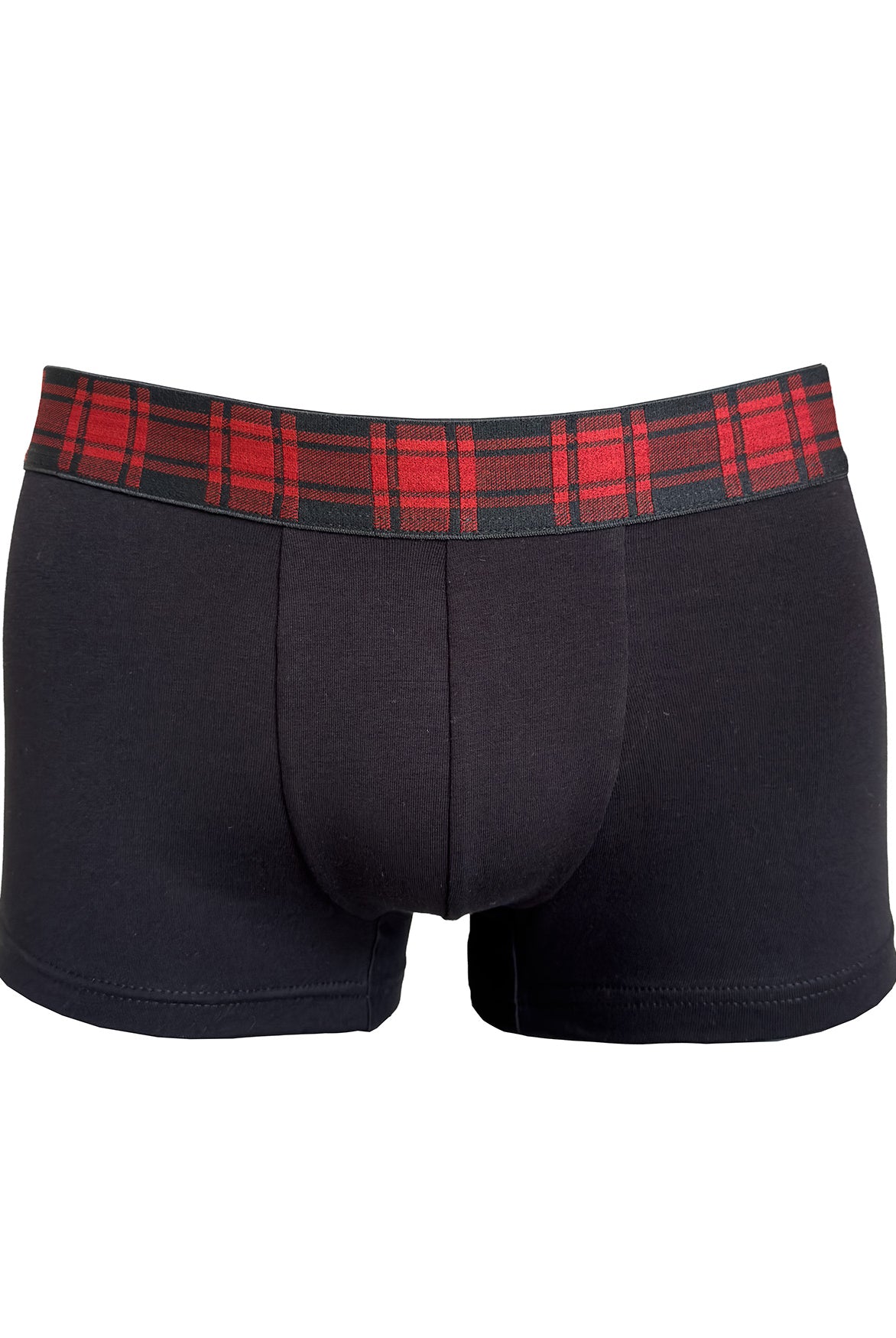 Boxer Scottish | Dot76.it