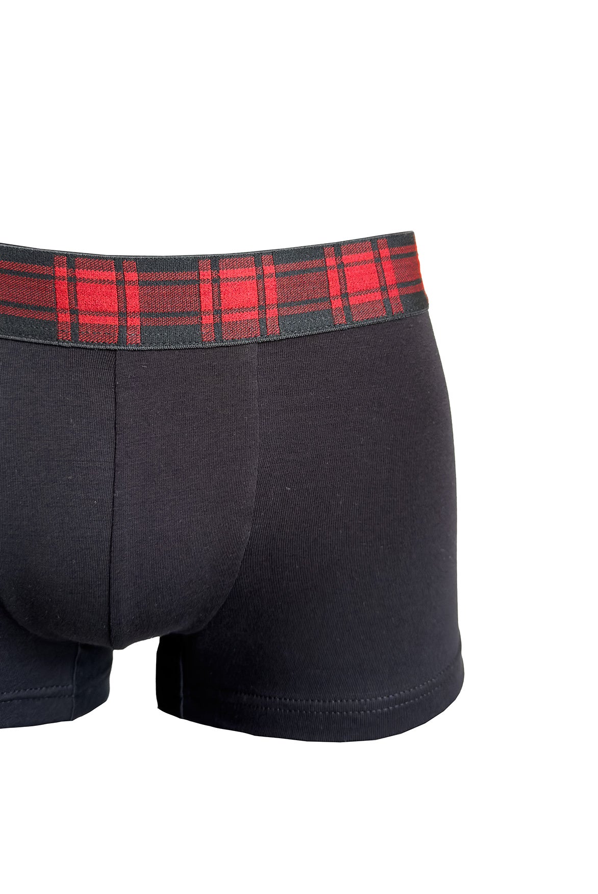 Boxer Scottish | Dot76.it