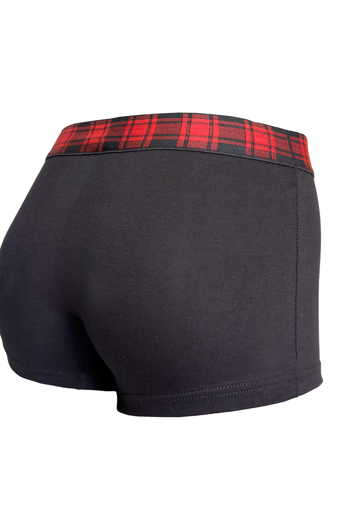 Boxer Scottish | Dot76.it