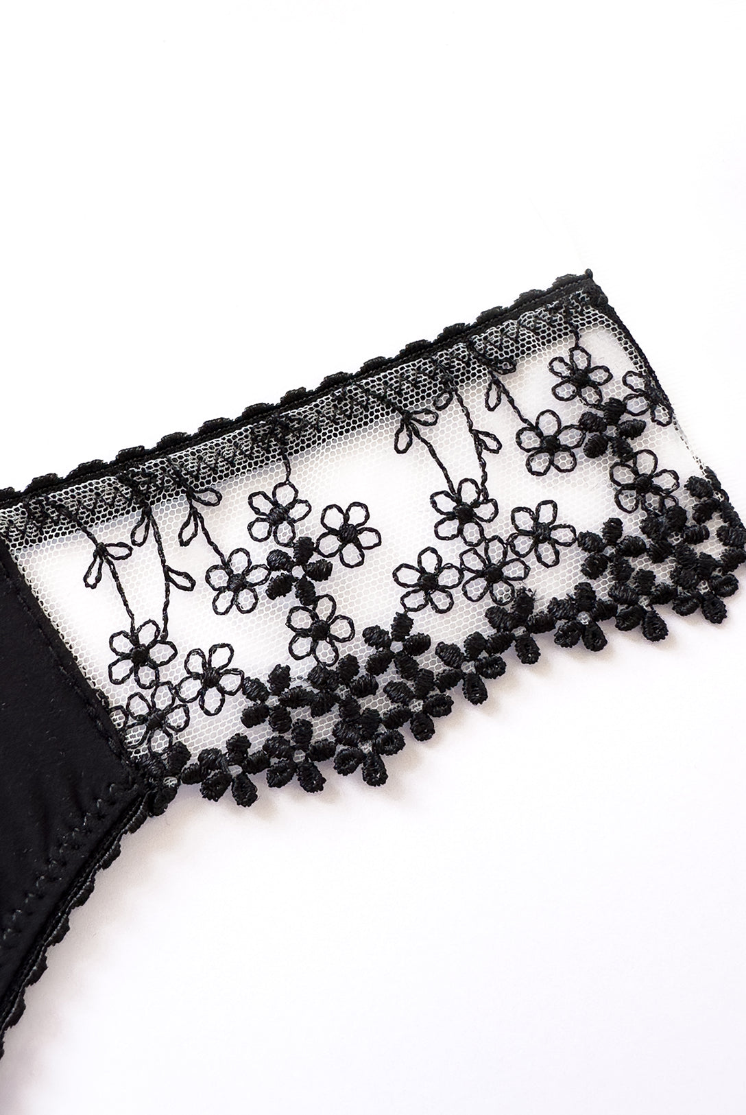 Brasiliana Iberis Black | Dot76.it