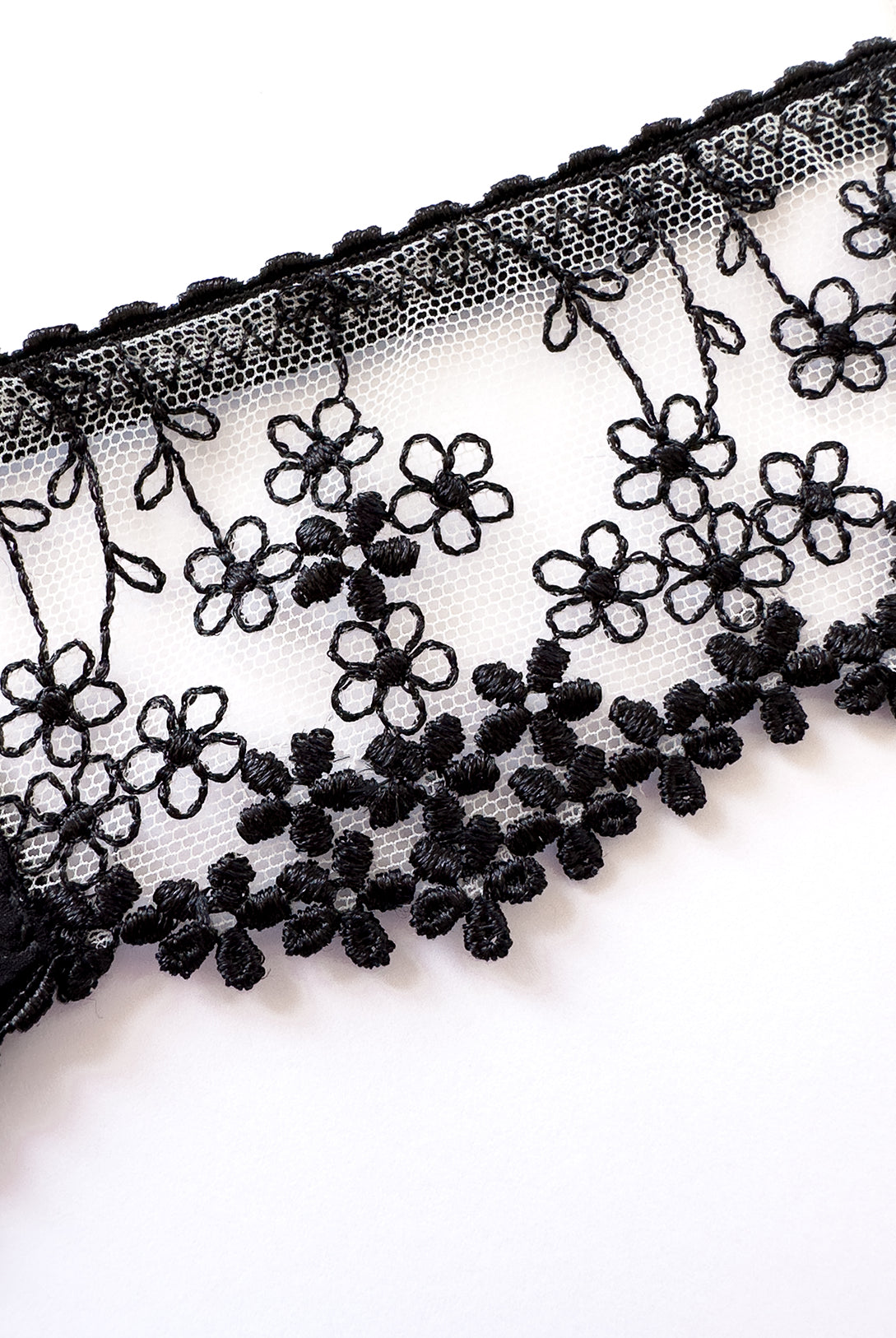 Brasiliana Iberis Black | Dot76.it
