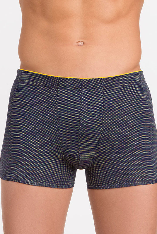 Boxer americano | Dot76.it