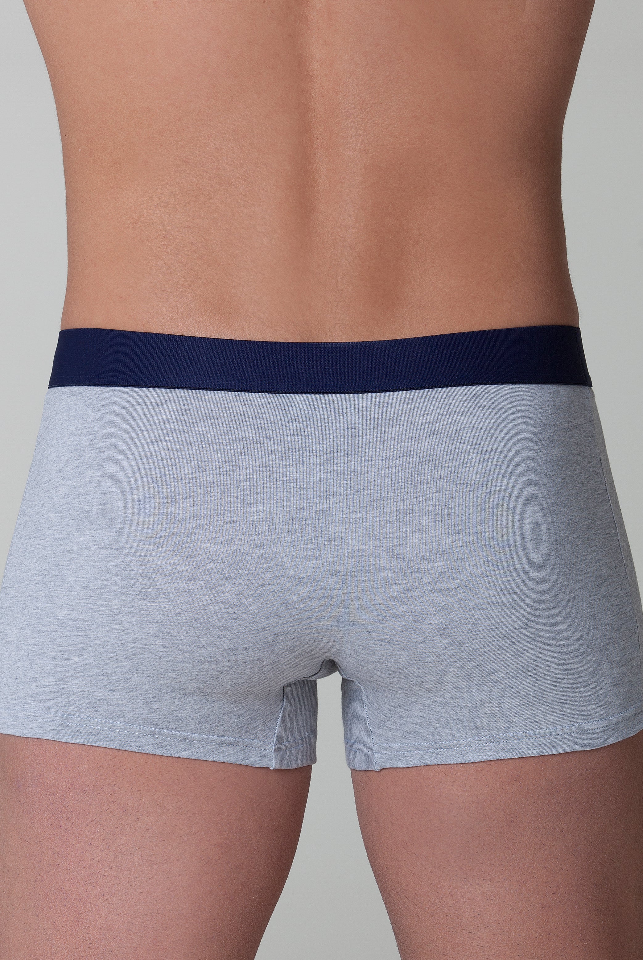 Boxer Contrasto | Dot76.it