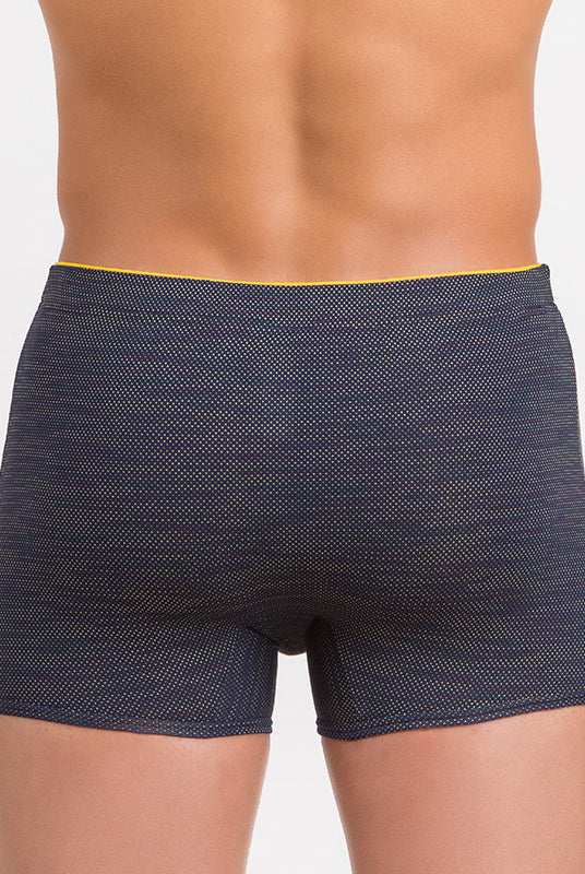 Boxer americano | Dot76.it