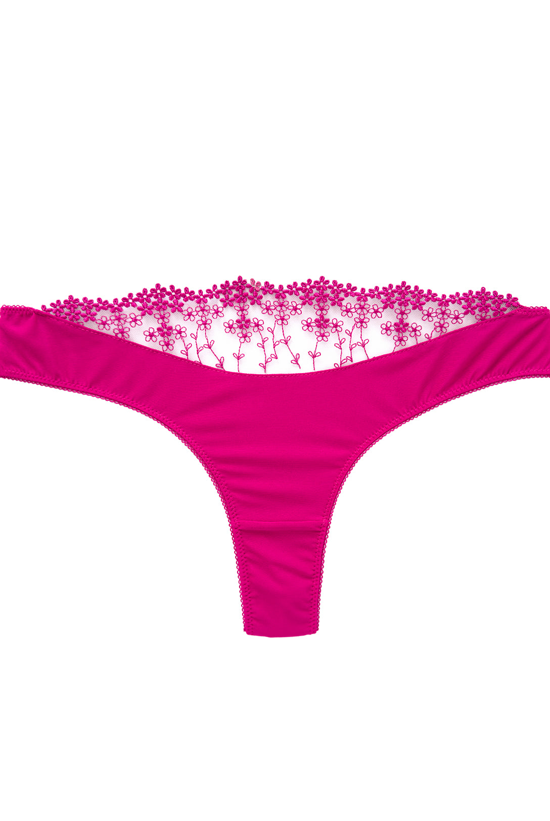 Brasiliana Iberis Passion | Dot76.it