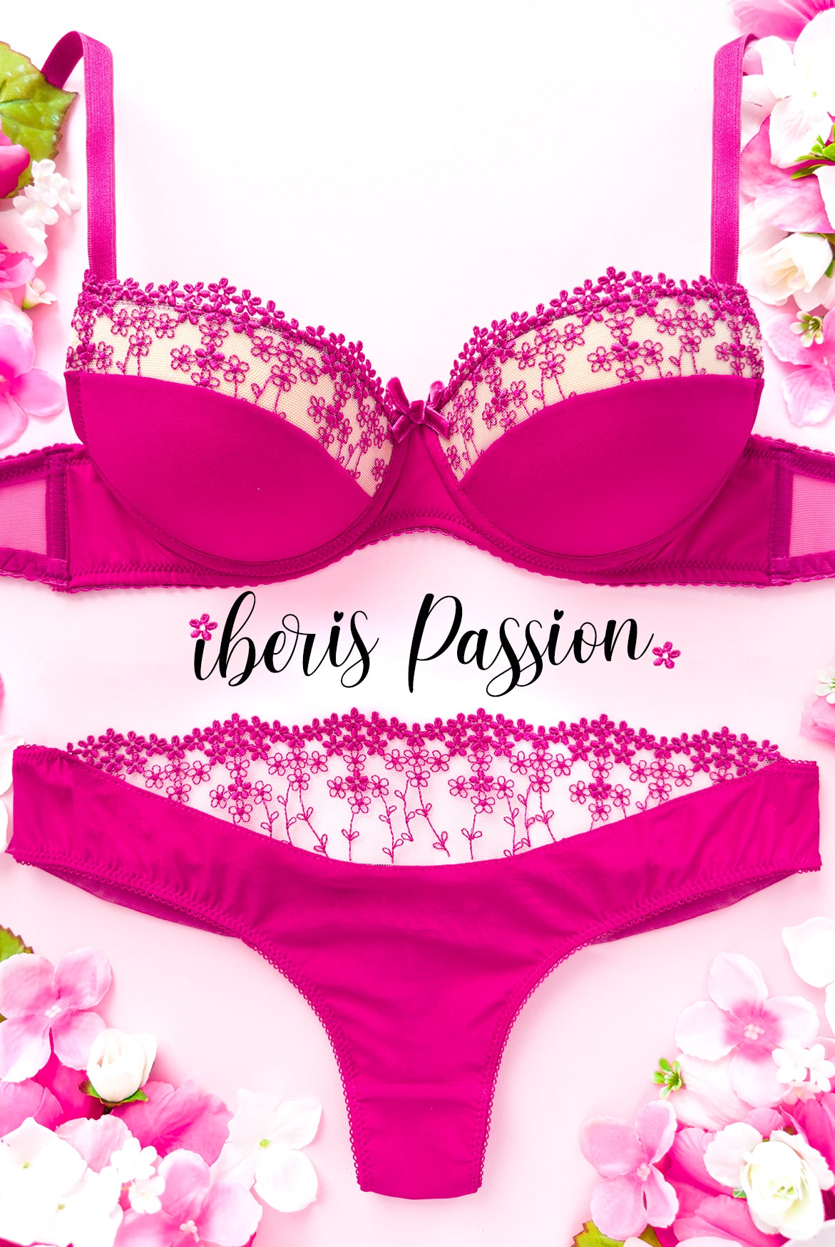 Brasiliana Iberis Passion | Dot76.it