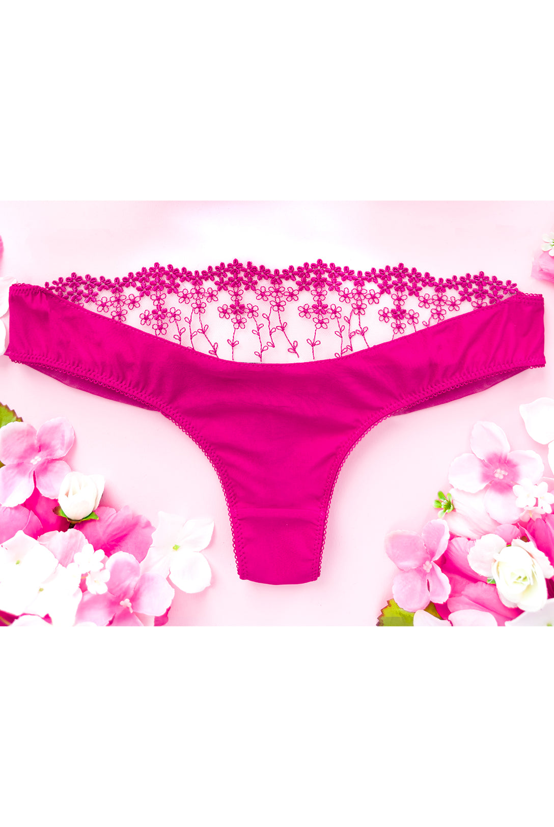 Brasiliana Iberis Passion | Dot76.it