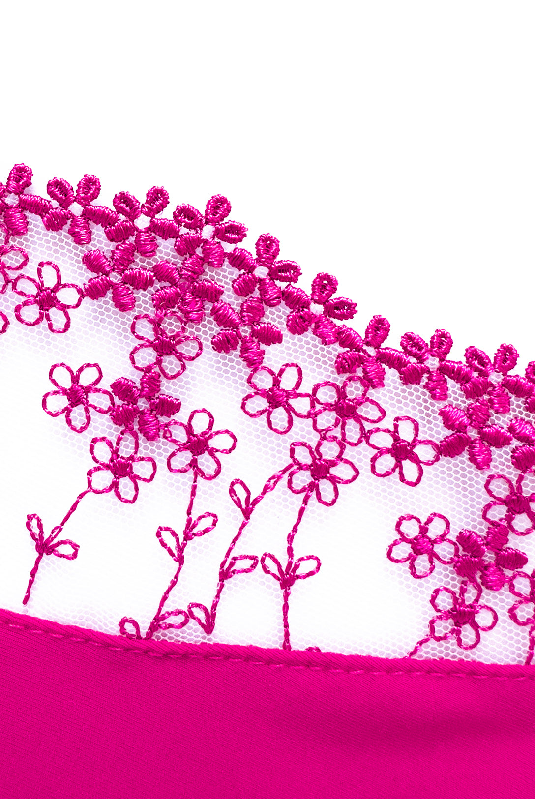 Brasiliana Iberis Passion | Dot76.it