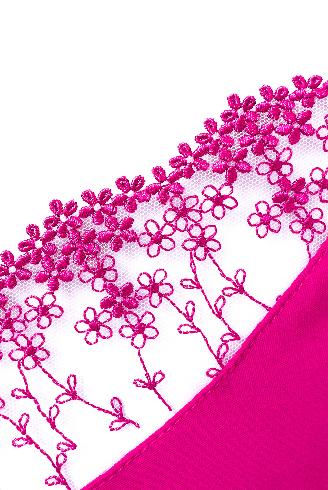 Brasiliana Iberis Passion | Dot76.it