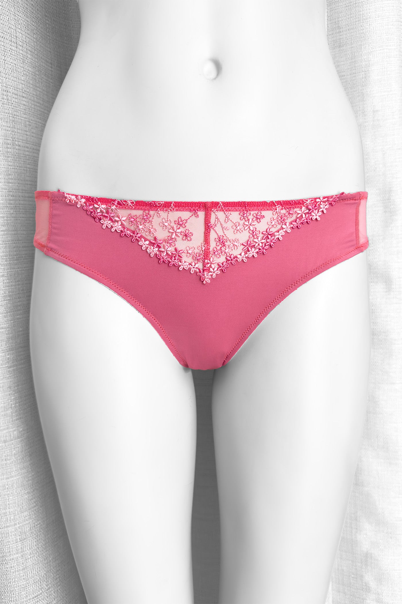 Brasiliana Iberis Joy | Dot76.it