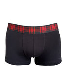Boxer Scottish | Dot76.it