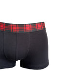 Boxer Scottish | Dot76.it