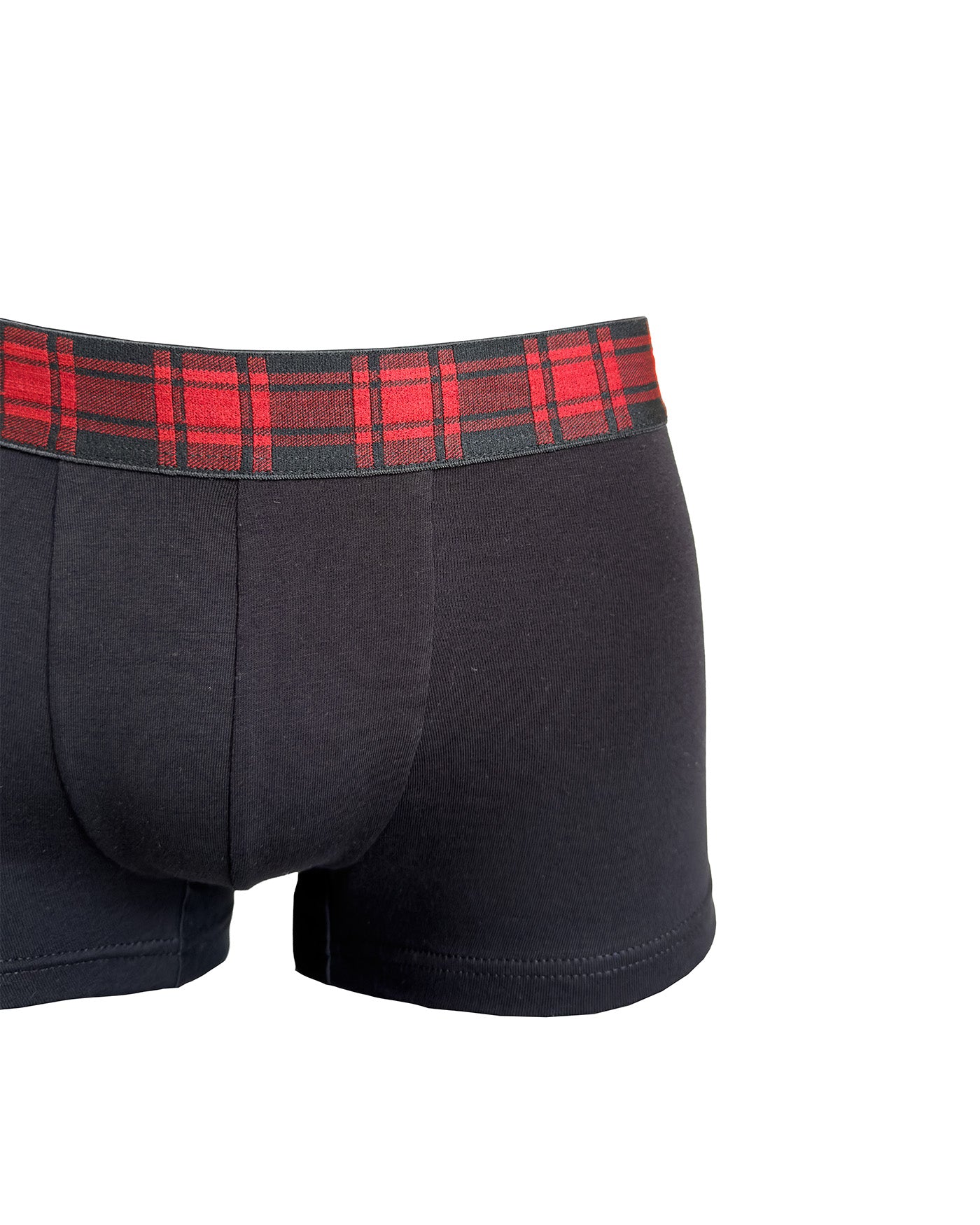 Boxer Scottish | Dot76.it