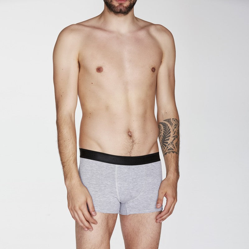 Boxer 3D | Dot76.it