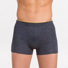 Boxer americano | Dot76.it